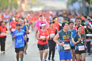BIB: 2012, 81009
                            <button type="button" onclick="openModal(12775262)" class="btn btn-primary btn-sm float-right btn-popup" data-toggle="modal" data-target=".modal-high-quality">
                        <i class="fas fa-shopping-cart"></i> Add to Cart
                    </button>
                                            <button type="button" onclick="isThisMe(12775262, true)" class="btn btn-success btn-sm float-right btn-popup btn-isme hidden" data-toggle="tooltip" data-placement="bottom" title="นี่คือรูปของคุณใช่ไหม คลิกที่นี่เพื่อเอาเข้าอัลบั้ม">
                        <i class="fas fa-plus"></i> Add to album
                    </button>
                    <button type="button" onclick="isThisMe(12775262, false)" class="btn btn-warning btn-sm float-right btn-popup btn-isnotme hidden">
                        <i class="fas fa-ban"></i> Remove from album
                    </button>